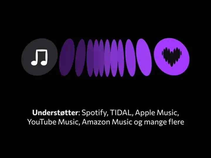 Grafisk illustration viser musikrelaterede ikoner og tekst, der nævner understøttelse af Spotify, TIDAL, Apple Music, YouTube Music, Amazon Music og flere.