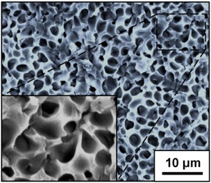 SEM image of glycerol droplets