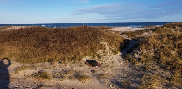 ripod-mounted sound measurement device at the coast
