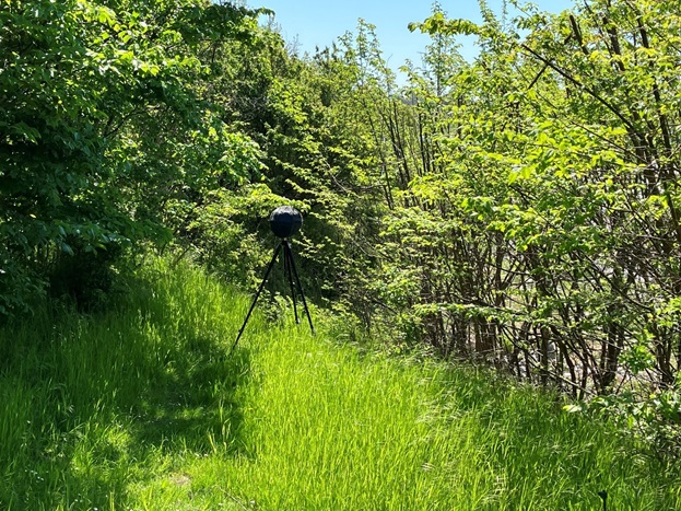 Picture 1: Sound measurement setup among dense green vegetation