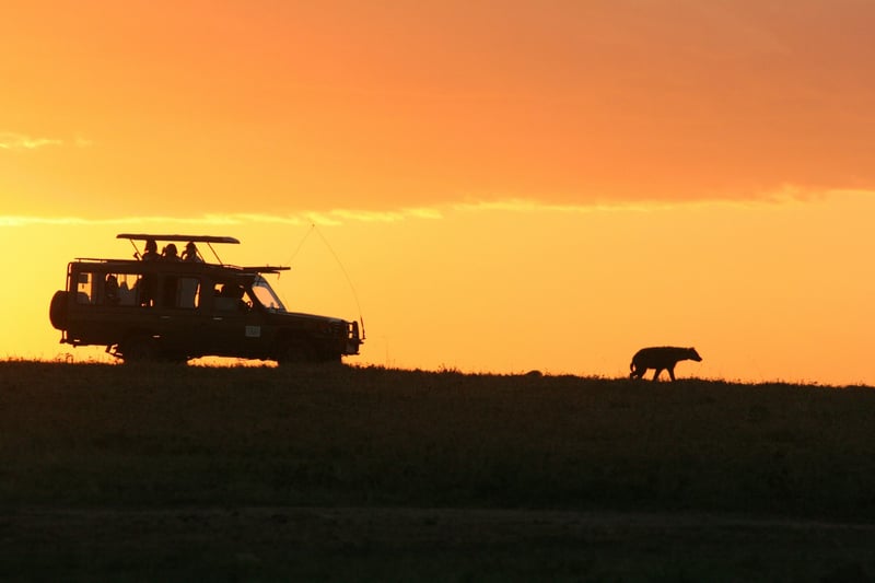 kenya-safari.jpg